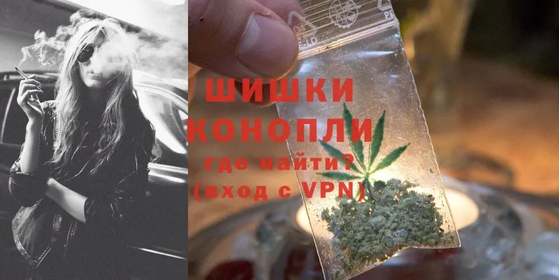 Каннабис OG Kush  Западная Двина 